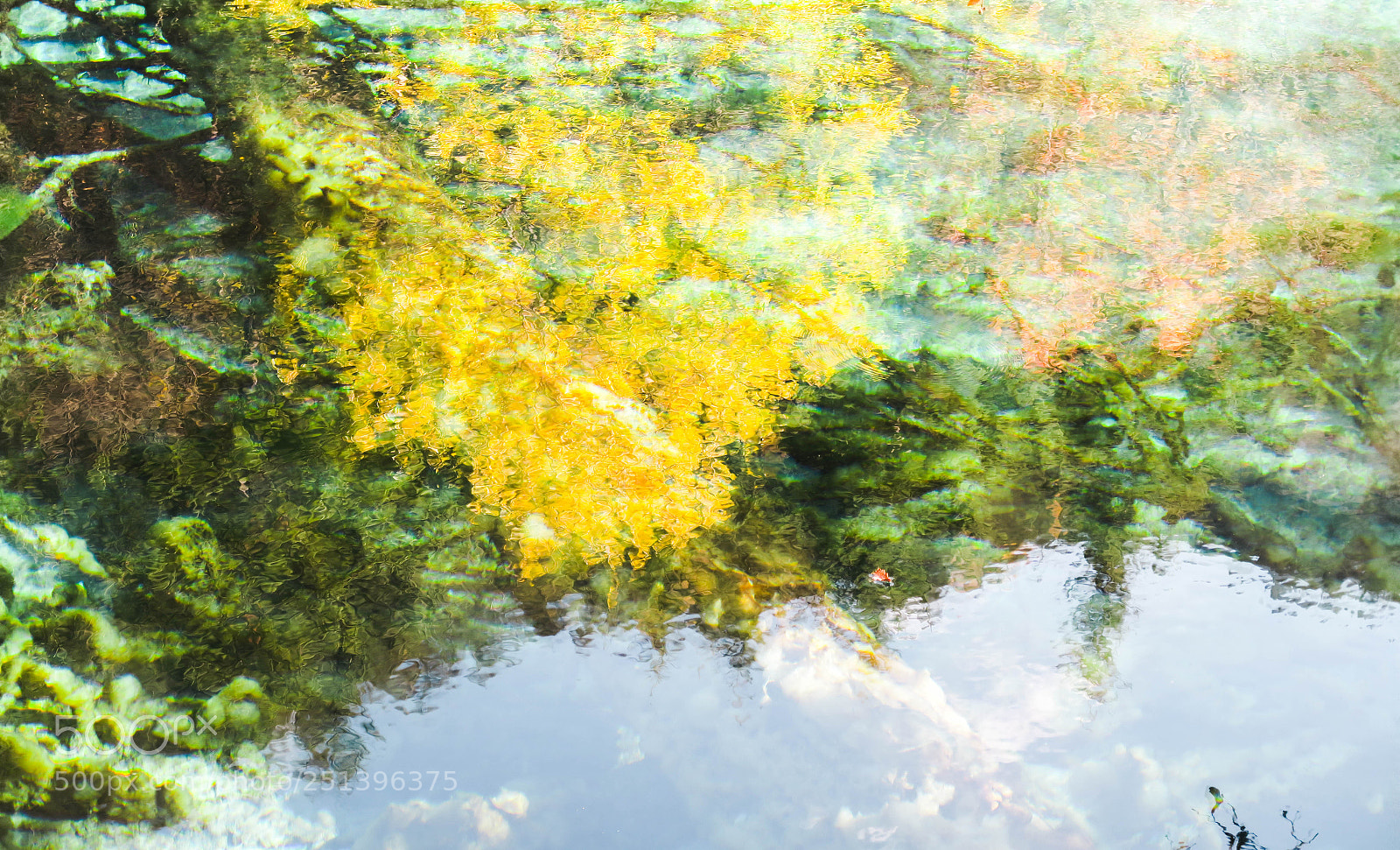 Canon PowerShot G5 X sample photo. Colours on water. photography