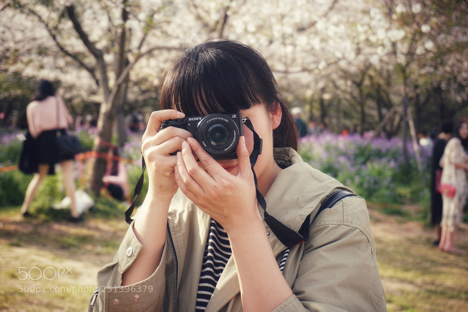 Sony a6000 sample photo. 樱园 photography