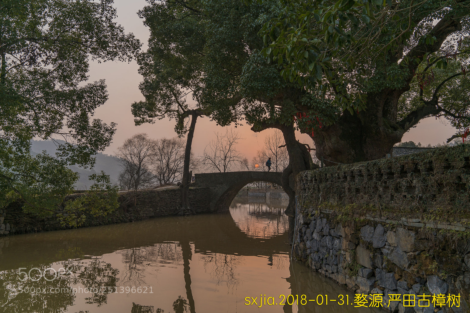 Sony a7R II sample photo. Untitled photography