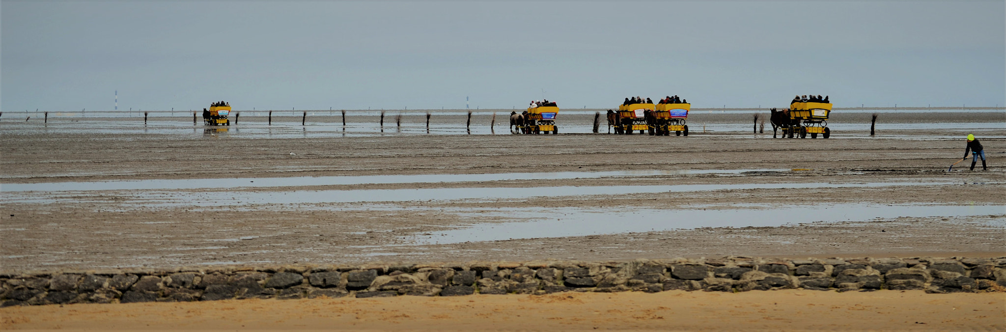 Nikon D5100 sample photo. Driving on waddensea photography