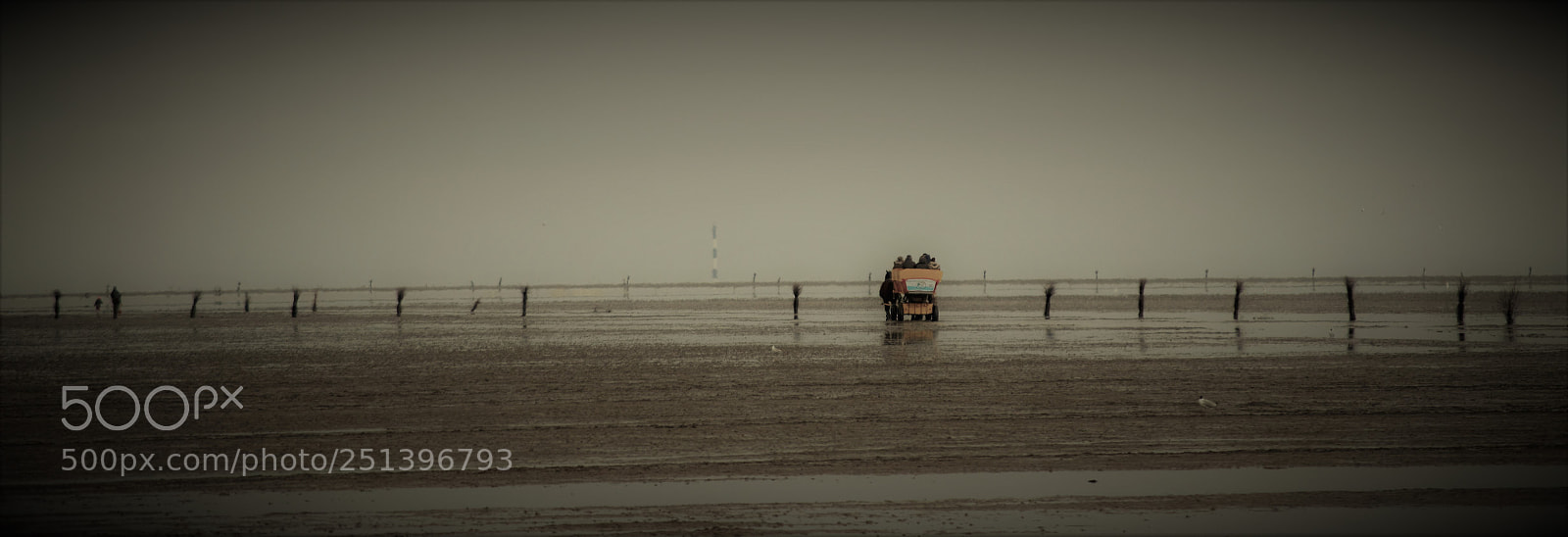 Nikon D5100 sample photo. Far away photography