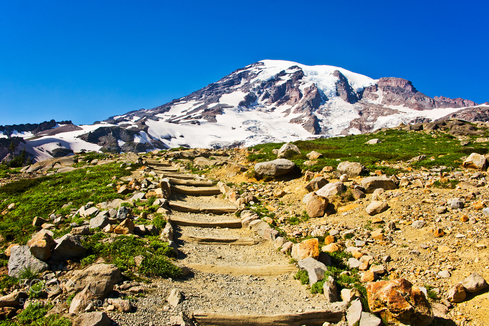 Nikon D700 sample photo. Paradise point, mount rainier photography