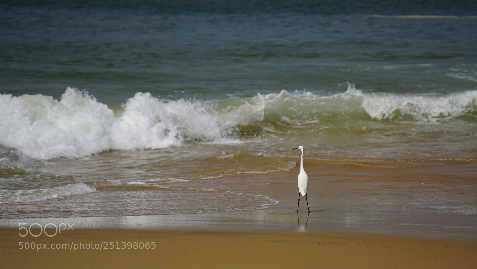 Sony a6500 sample photo. Ocean coast with waves photography
