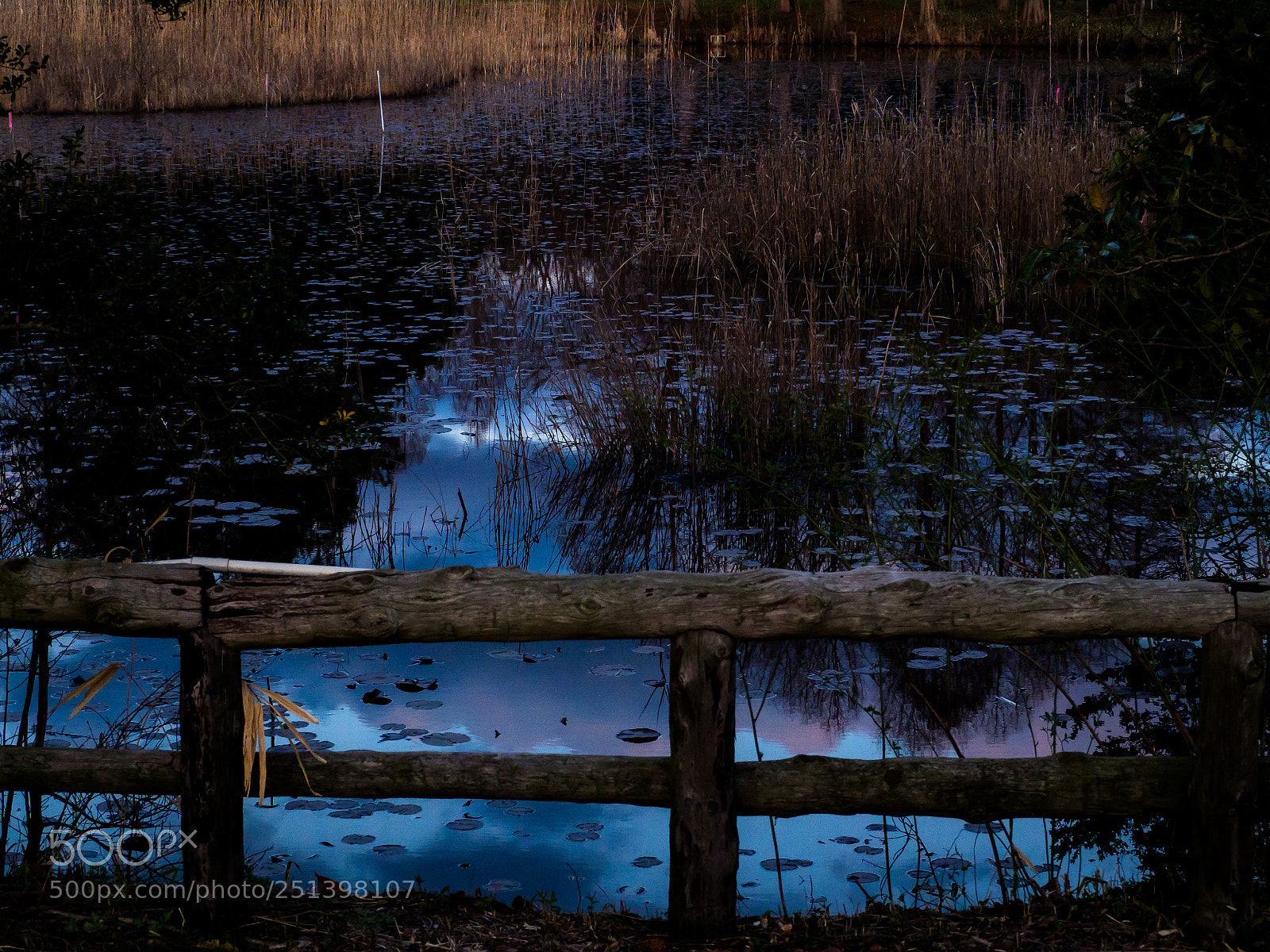 Olympus OM-D E-M10 II sample photo. Peaceful lake photography