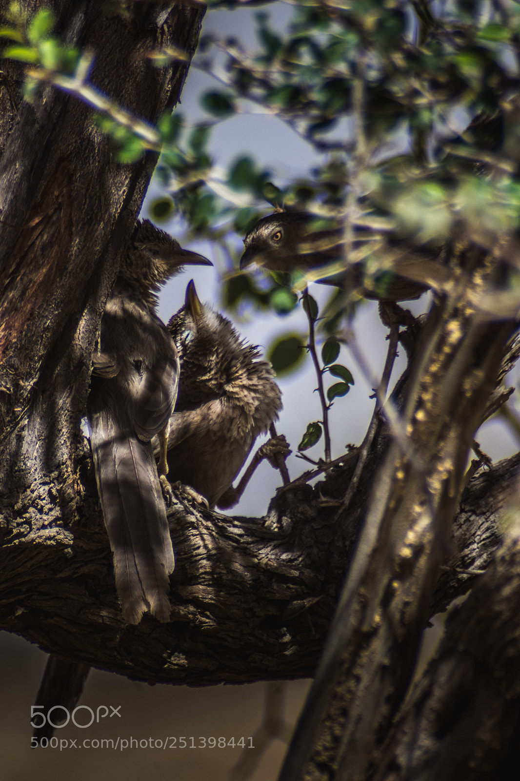 Nikon D7200 sample photo. Relaxing time photography
