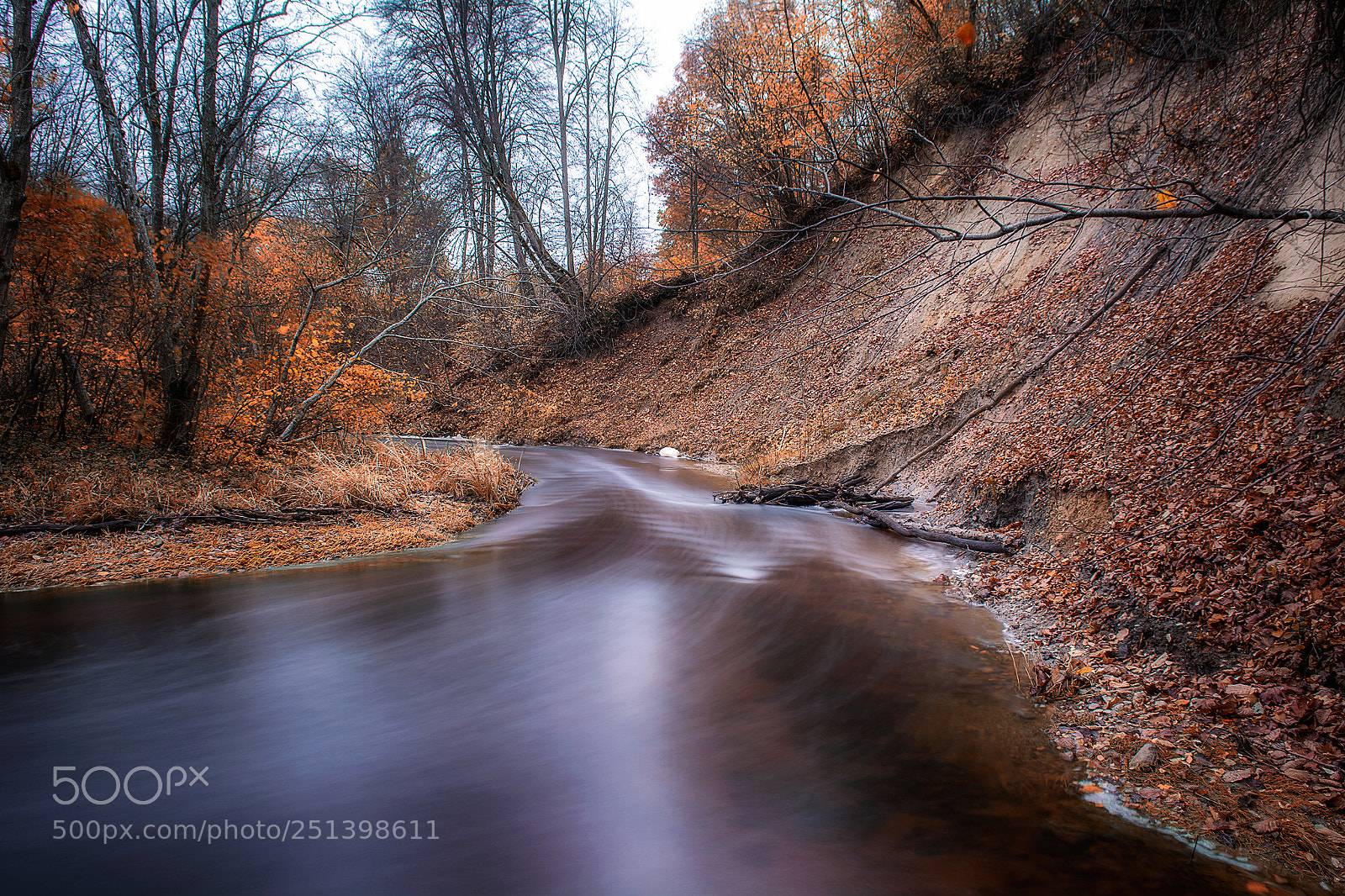 Nikon D7100 sample photo. Autumn by the river photography
