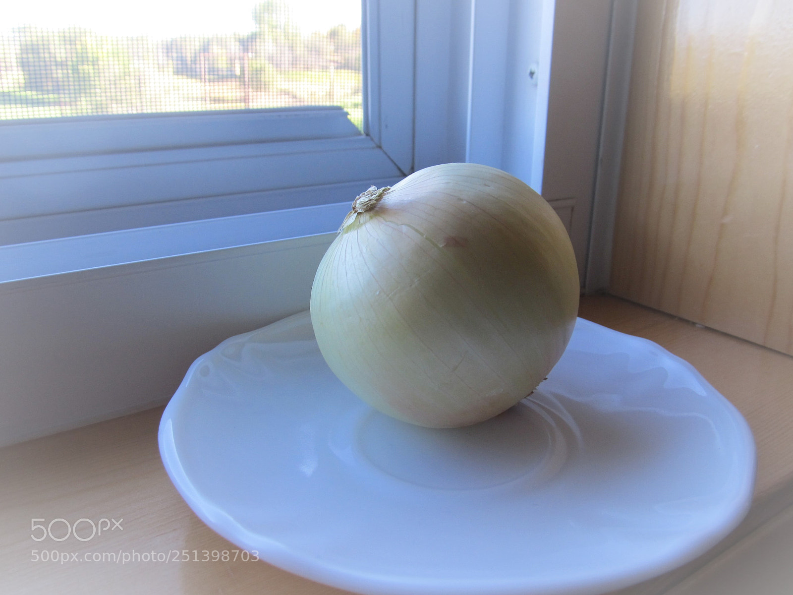 Canon PowerShot SX130 IS sample photo. Onion by the window photography