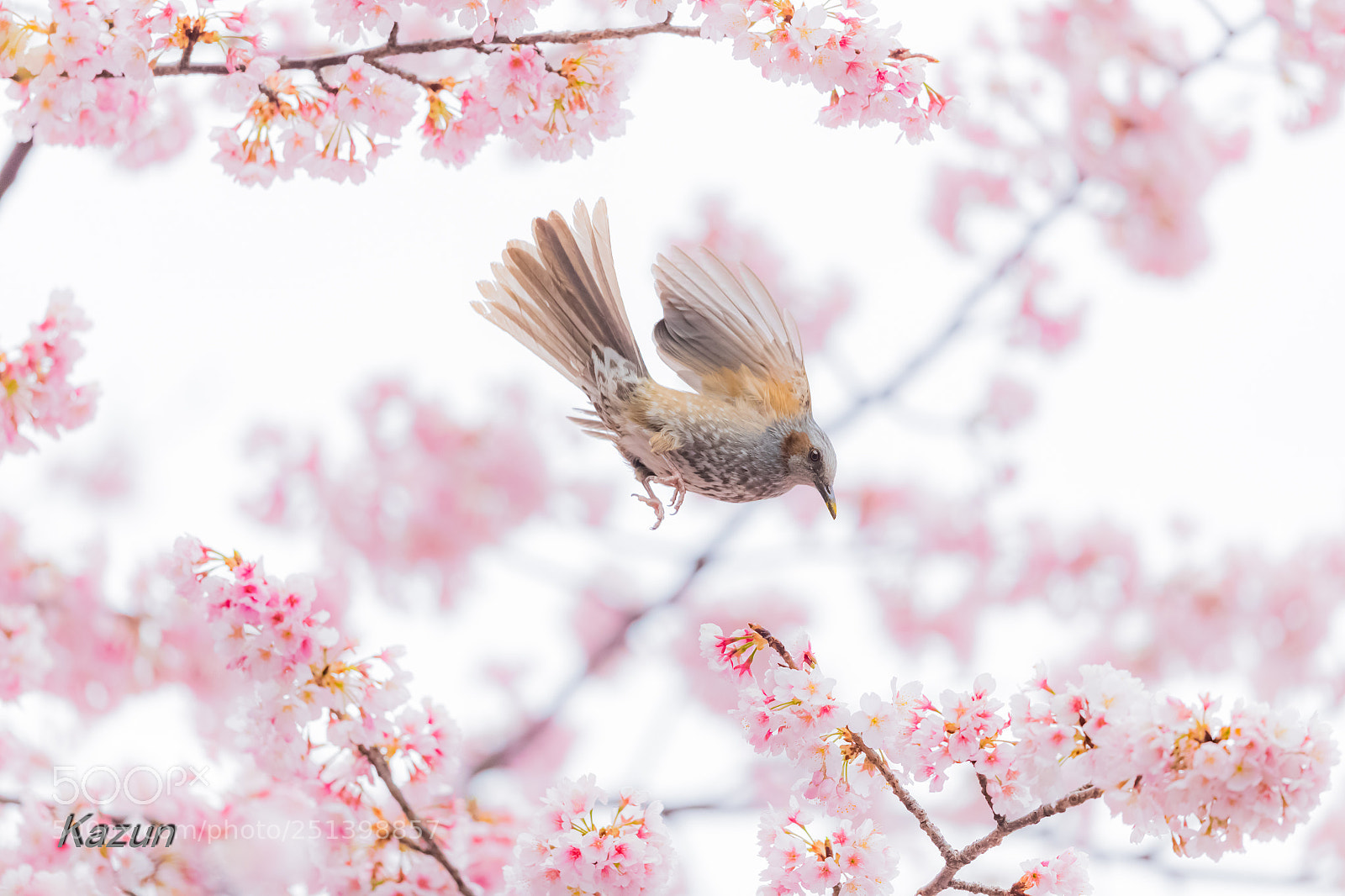 Canon EOS-1D X Mark II sample photo. Time is…. photography
