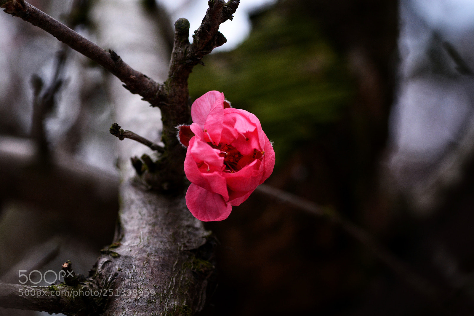 Nikon D7100 sample photo. Untitled photography