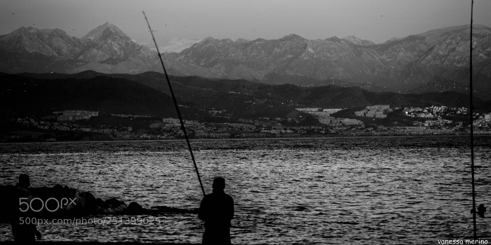 Nikon D3300 sample photo. Untitled photography
