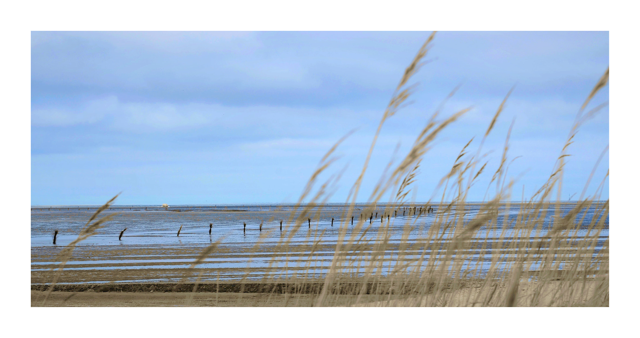 Nikon D5100 sample photo. View at waddensea photography