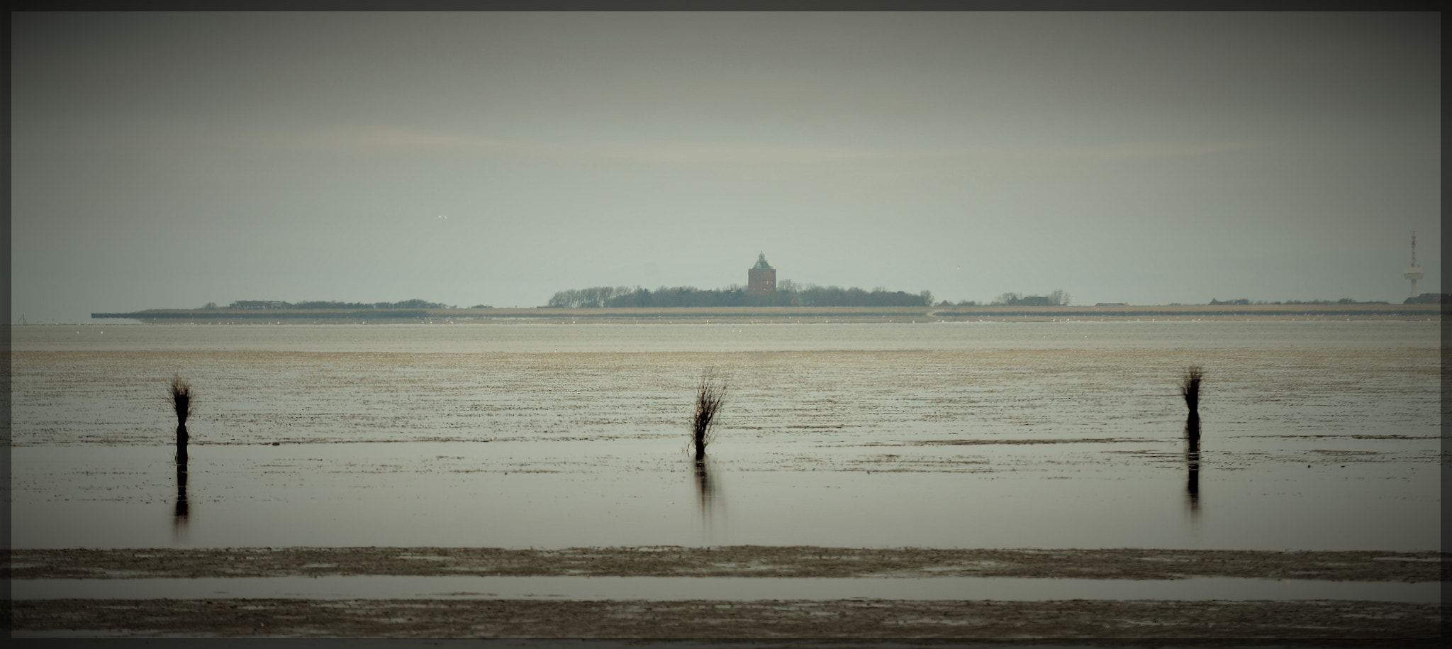 Nikon D5100 sample photo. View at neuwerk photography