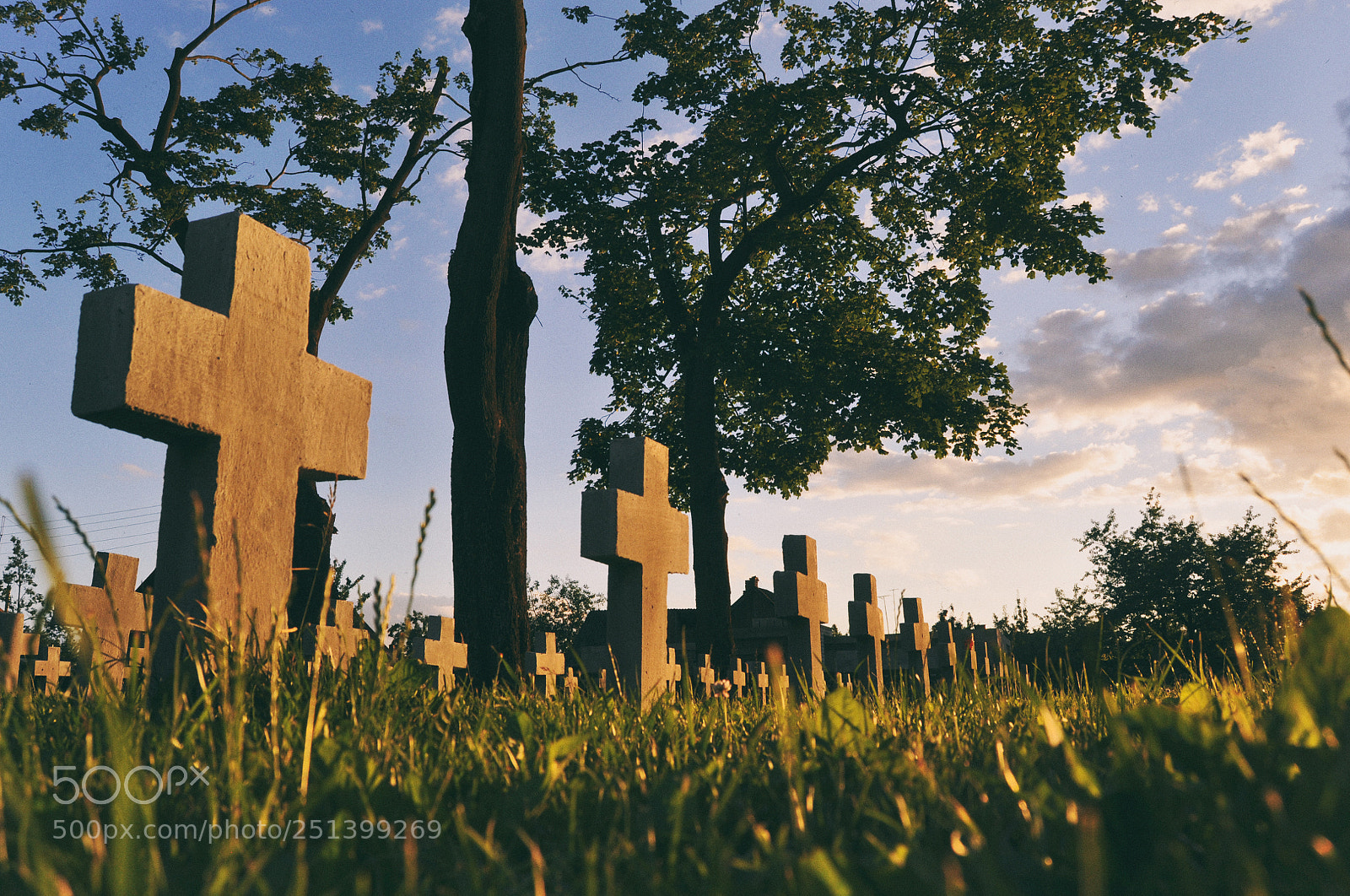 Nikon D90 sample photo. Cemetery in hrodna photography