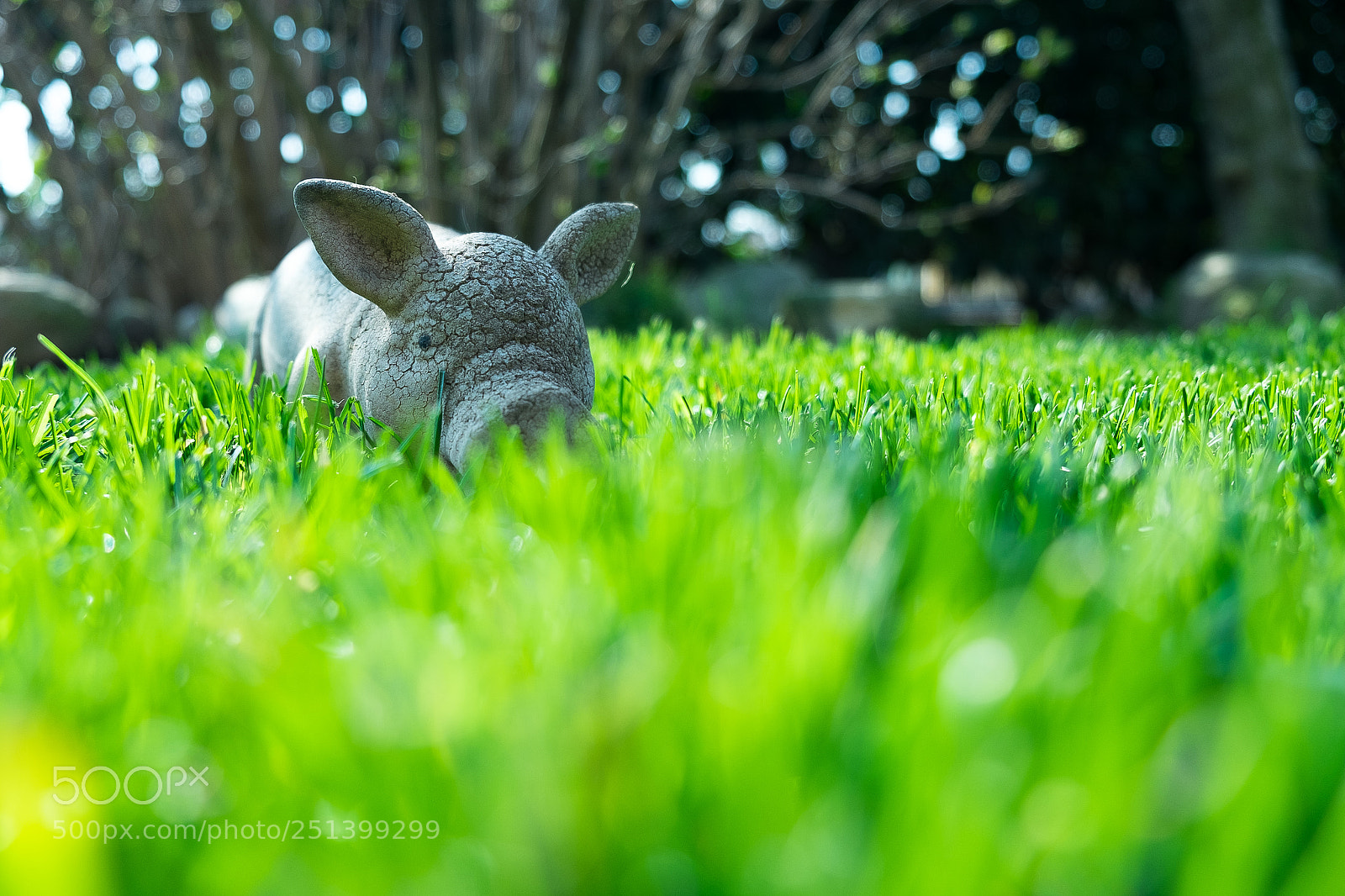 Fujifilm X-T1 sample photo. "snort" photography