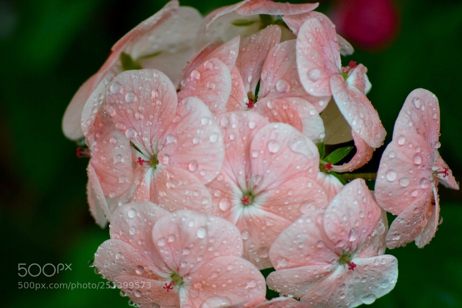 Nikon D5300 sample photo. Untitled photography
