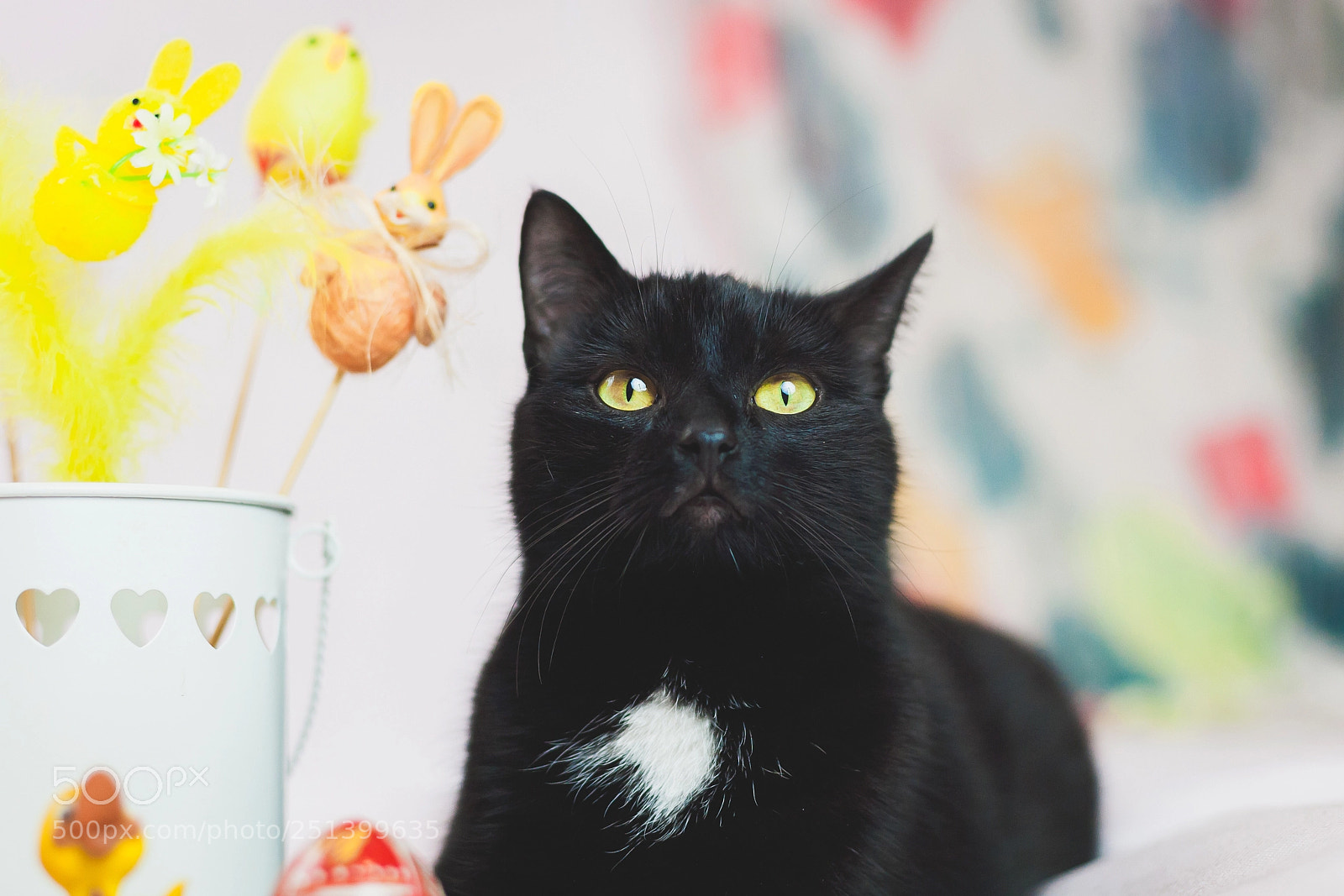 Canon EOS 5D sample photo. Easter is in the photography