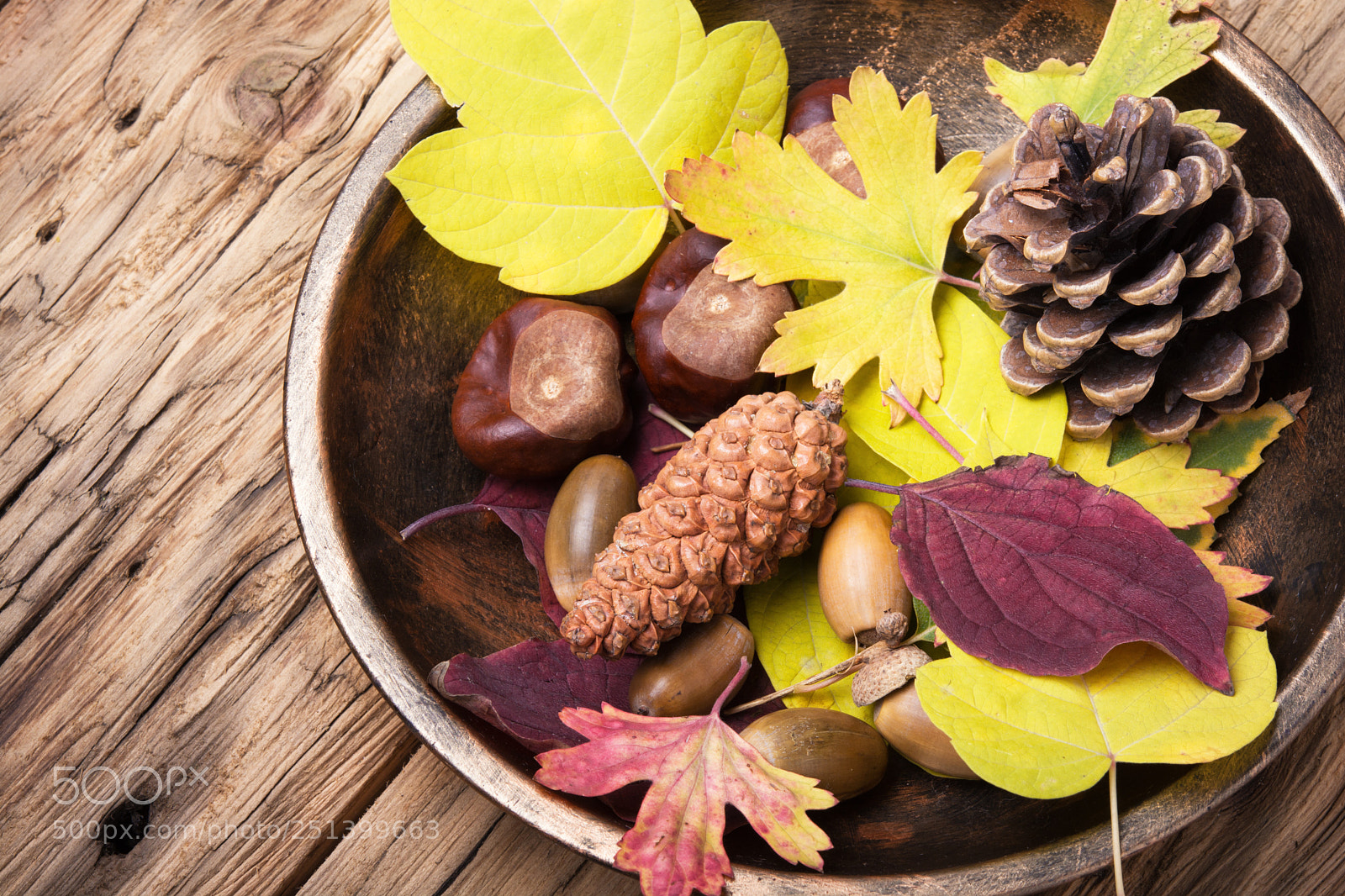 Nikon D7100 sample photo. Symbolic autumn still life photography