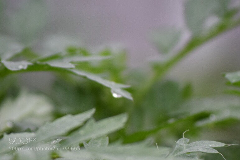 Nikon D5300 sample photo. Untitled photography