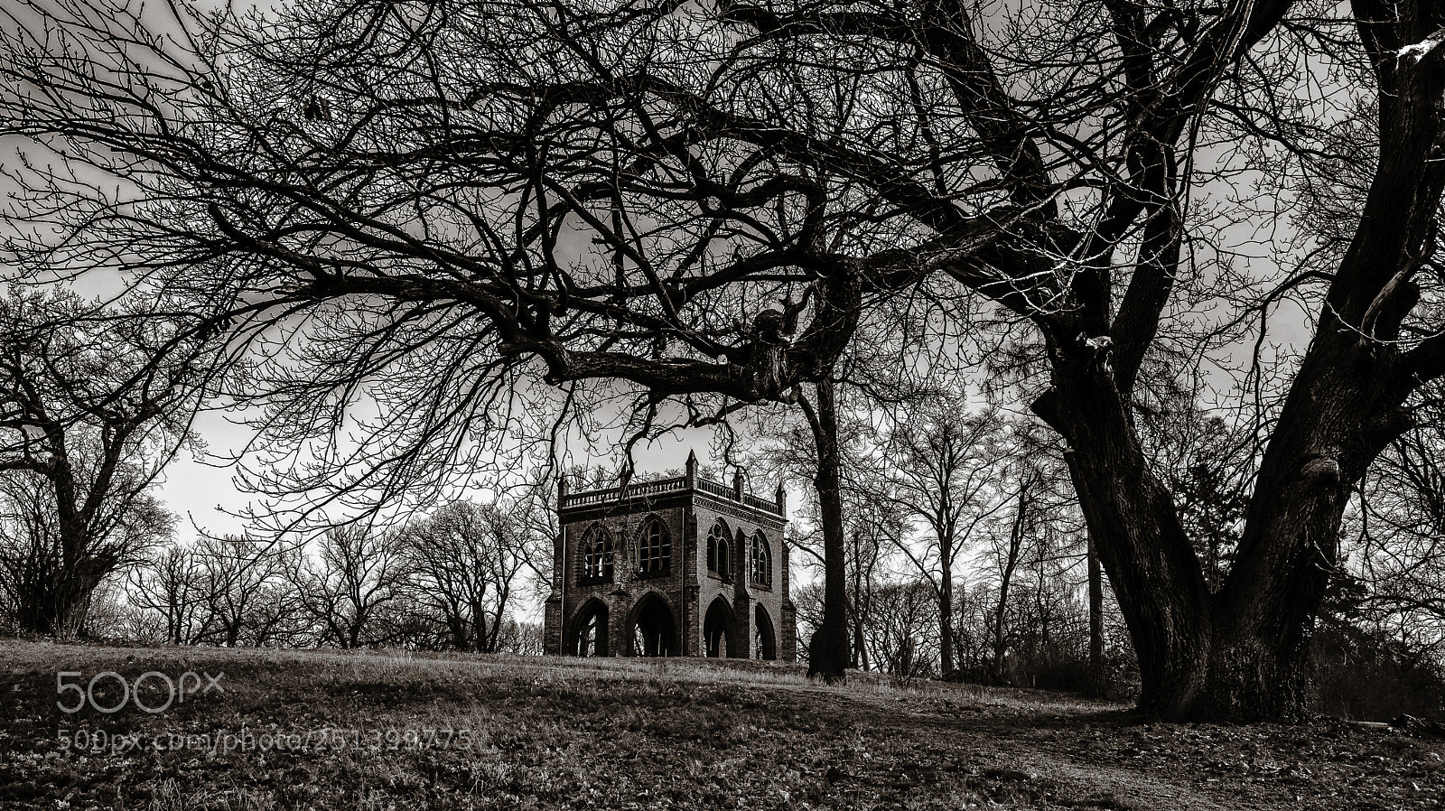 Canon EOS 6D Mark II sample photo. Gerichtslaube photography