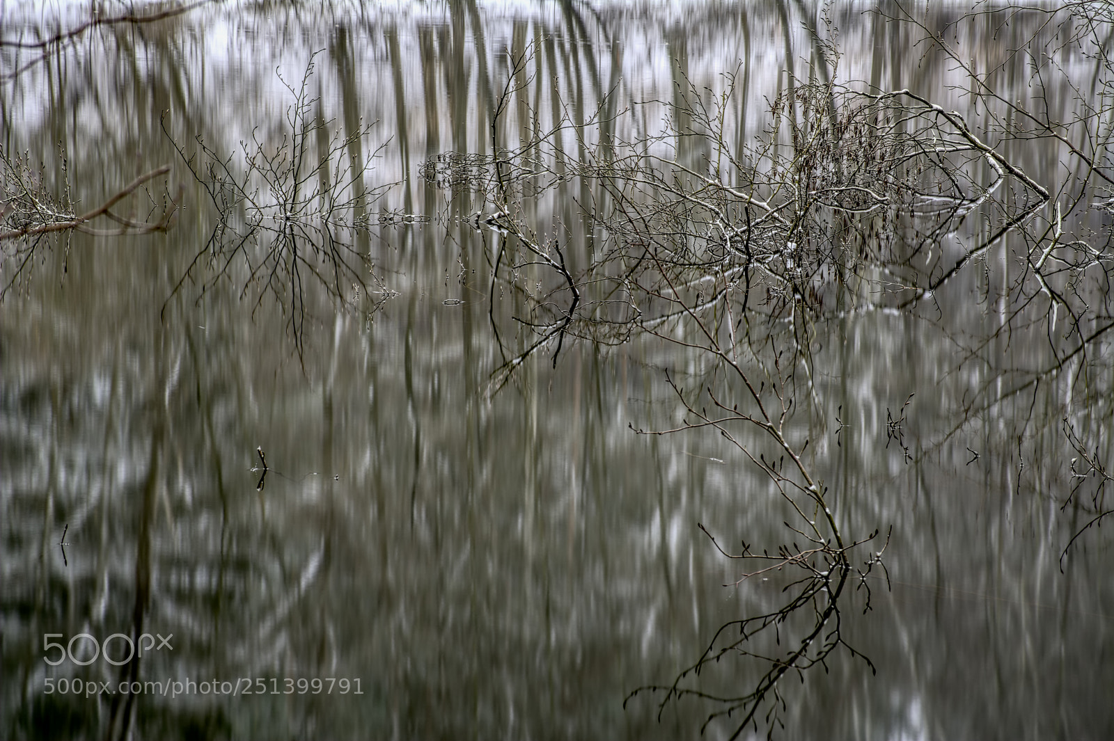Nikon D7100 sample photo. Pond22 photography