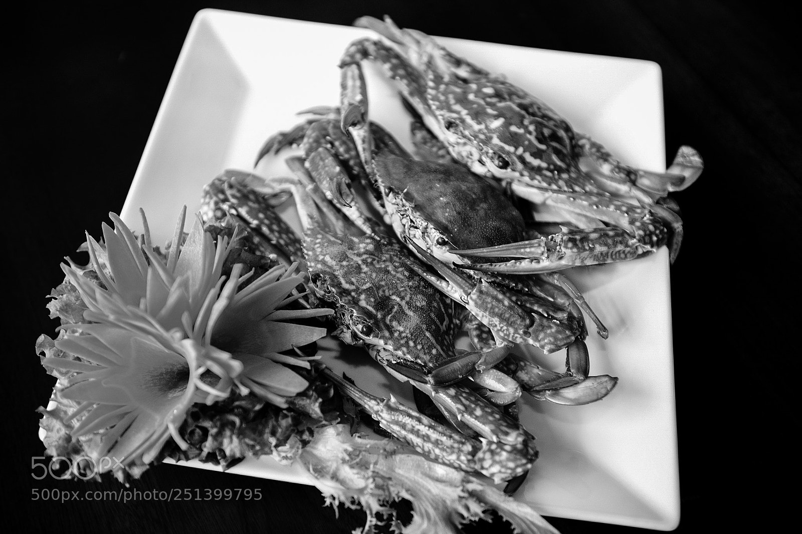 Nikon D4S sample photo. Crabs. photography