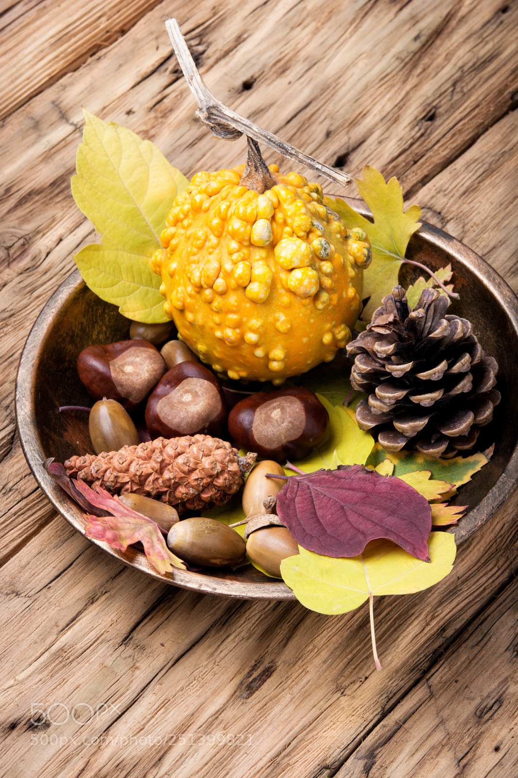 Nikon D7100 sample photo. Symbolic autumn still life photography