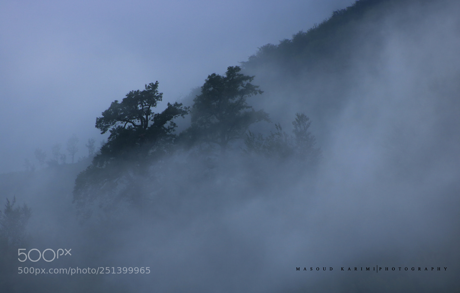 Canon EOS 760D (EOS Rebel T6s / EOS 8000D) sample photo. Fog photography