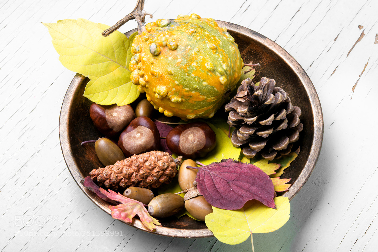 Nikon D7100 sample photo. Symbolic autumn still life photography