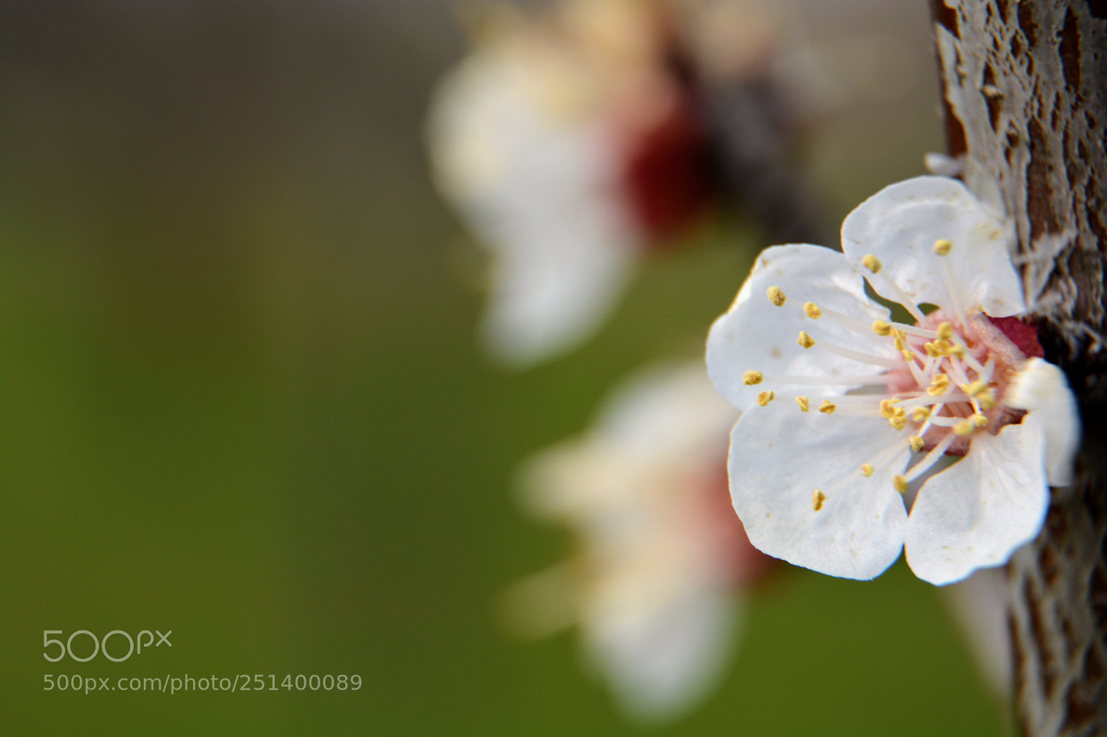 Nikon D5200 sample photo. Kindness photography