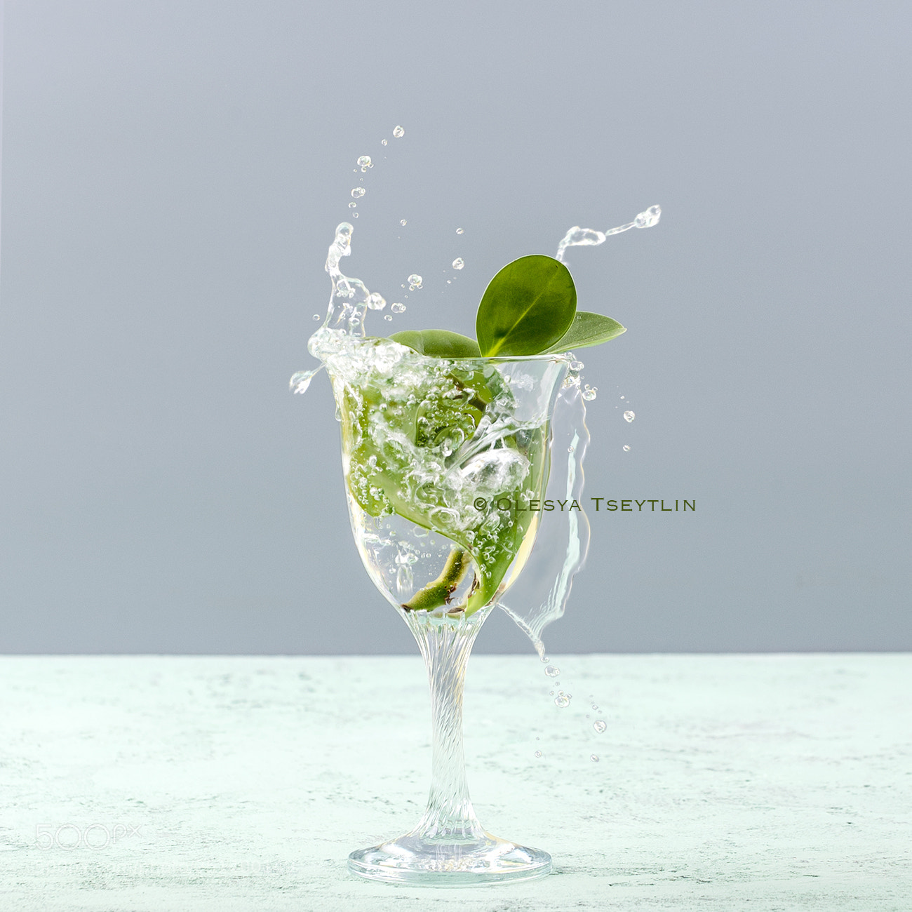 Nikon D3 sample photo. Green leaves in a photography