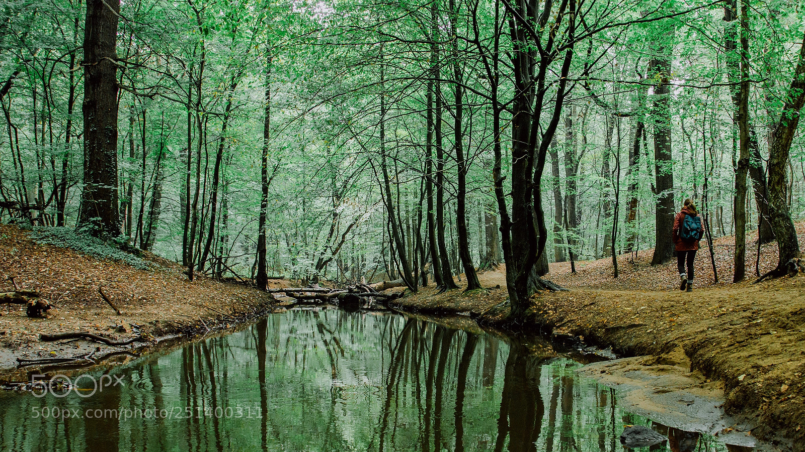 Nikon D610 sample photo. Autumn vs. spring photography