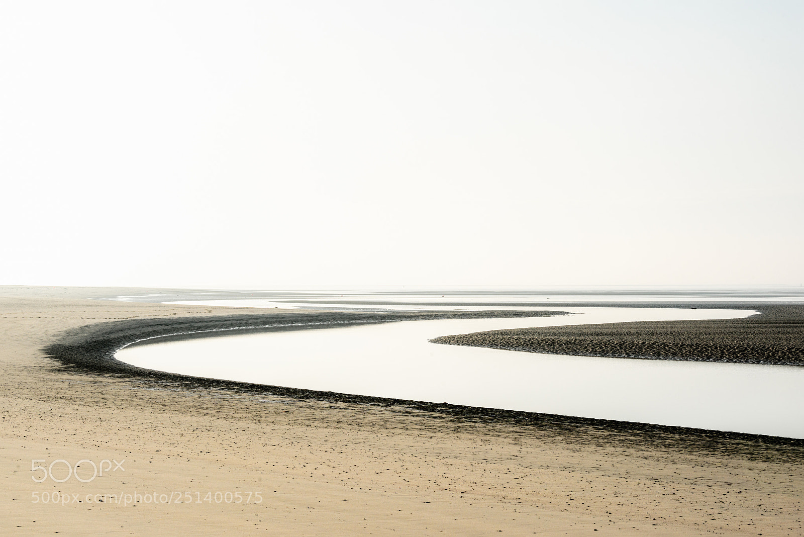 Nikon D800 sample photo. Tideland near langeoog photography