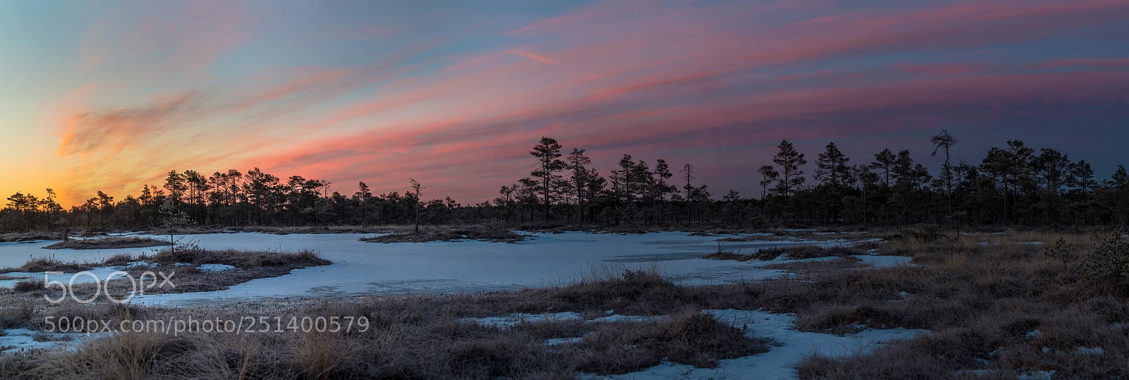 Nikon D800 sample photo. Jalase hommik panoraam photography