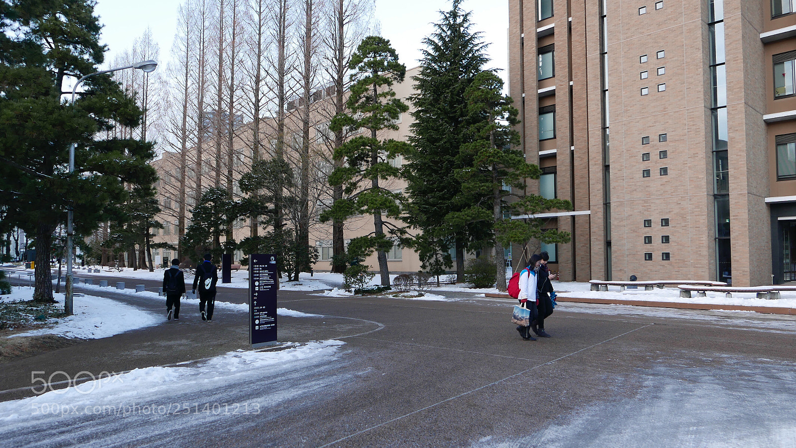 Leica D-Lux (Typ 109) sample photo. 初雪。。。 photography