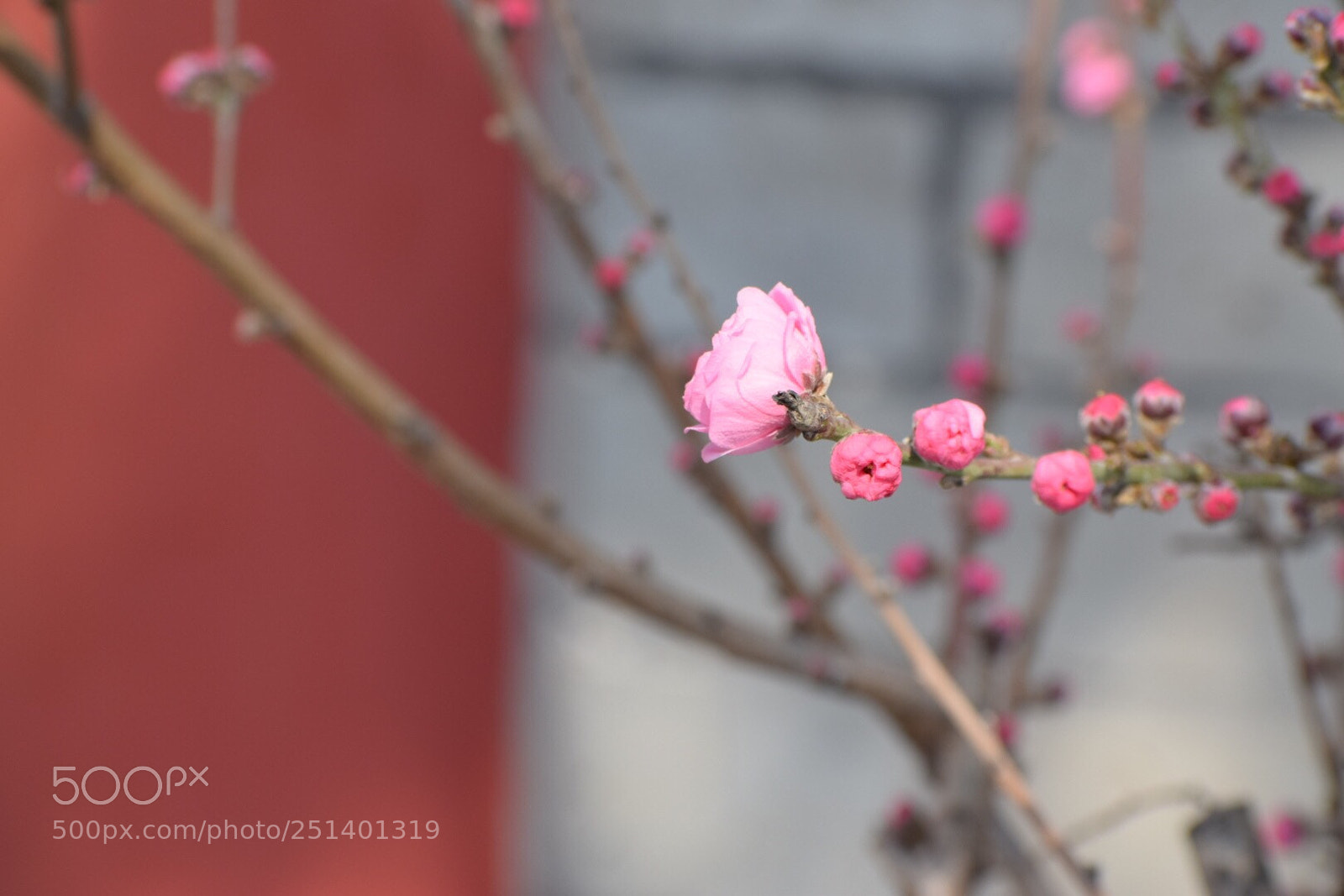 Nikon D5300 sample photo. Untitled photography
