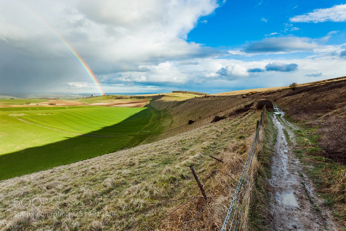 Canon EOS 5D Mark II sample photo. Looking for leprechauns photography