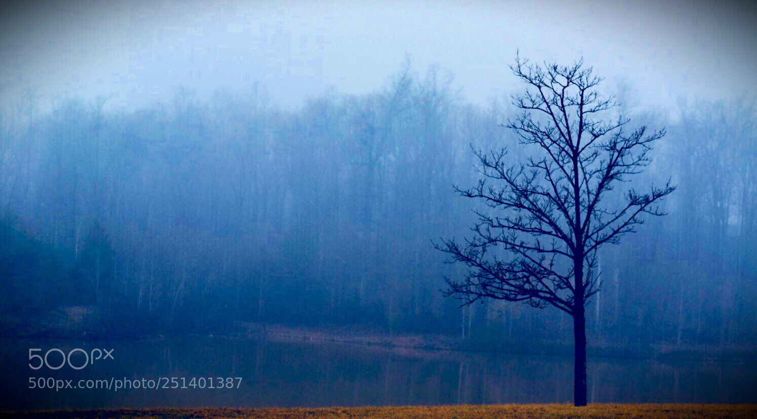 Nikon D5300 sample photo. Untitled photography