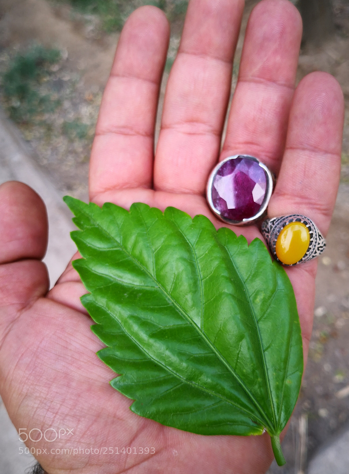 HUAWEI Mate 10 sample photo. Untitled photography