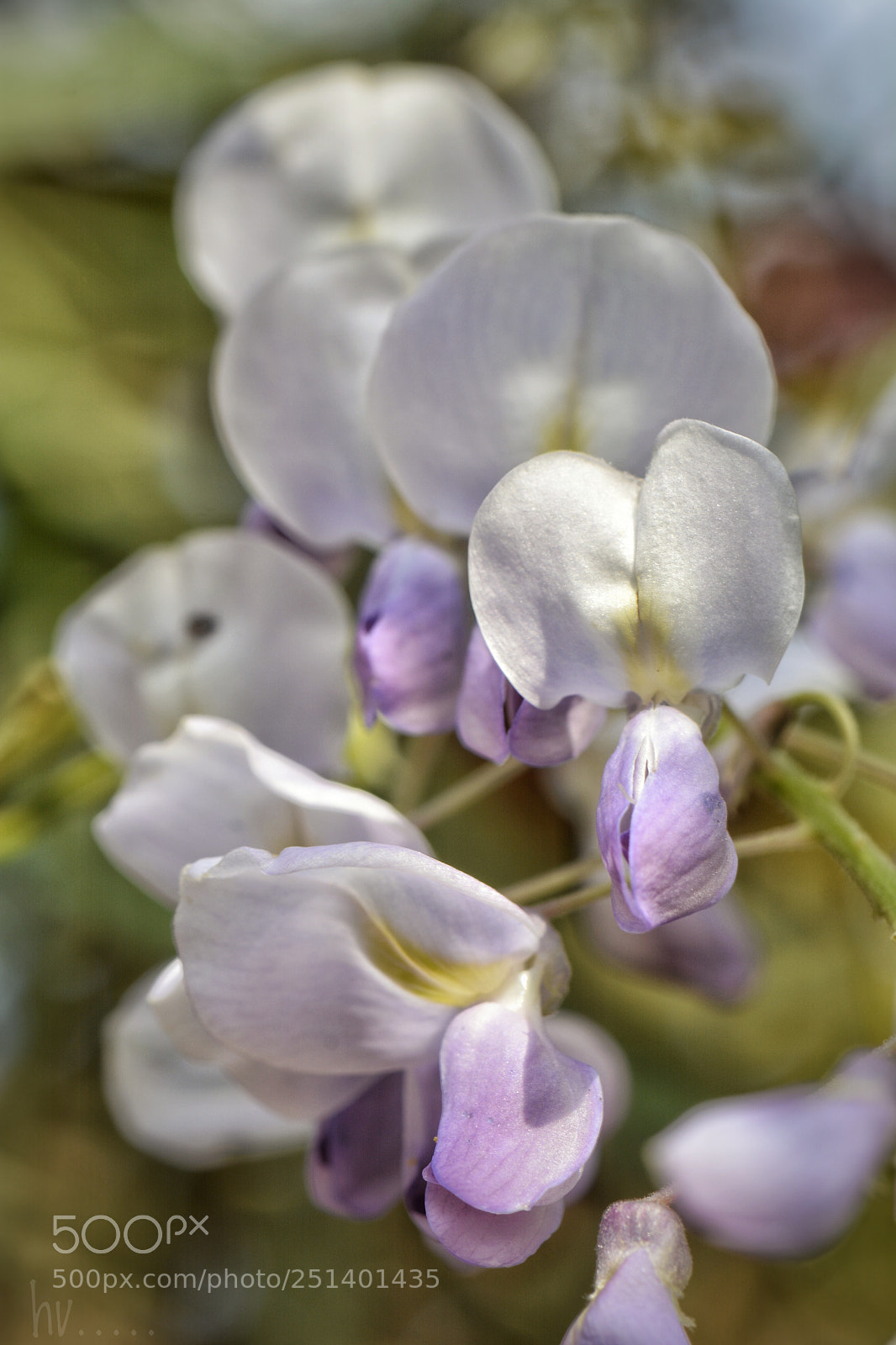 Nikon D7100 sample photo. Smooth morning photography