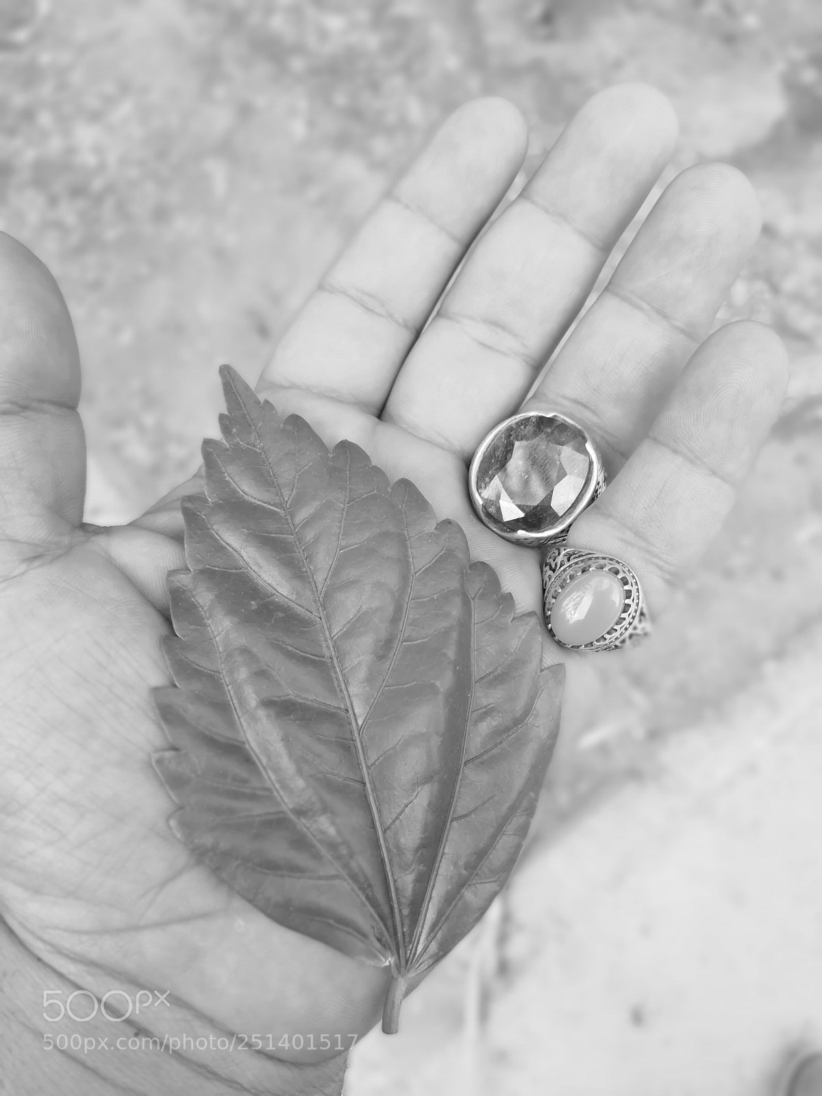 HUAWEI Mate 10 sample photo. Untitled photography