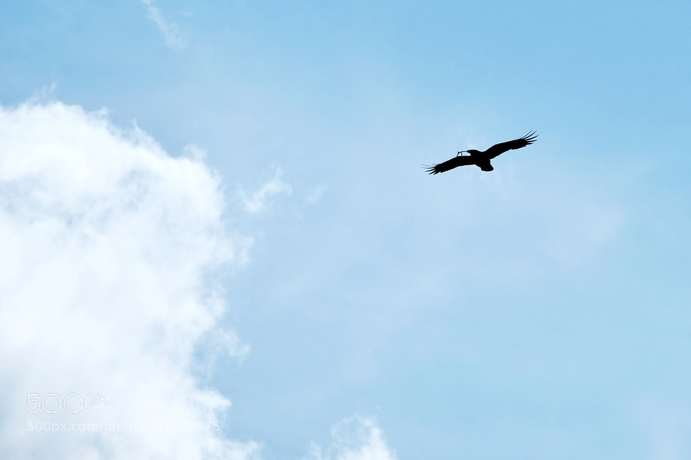 Fujifilm X-T2 sample photo. Beyond the clouds photography