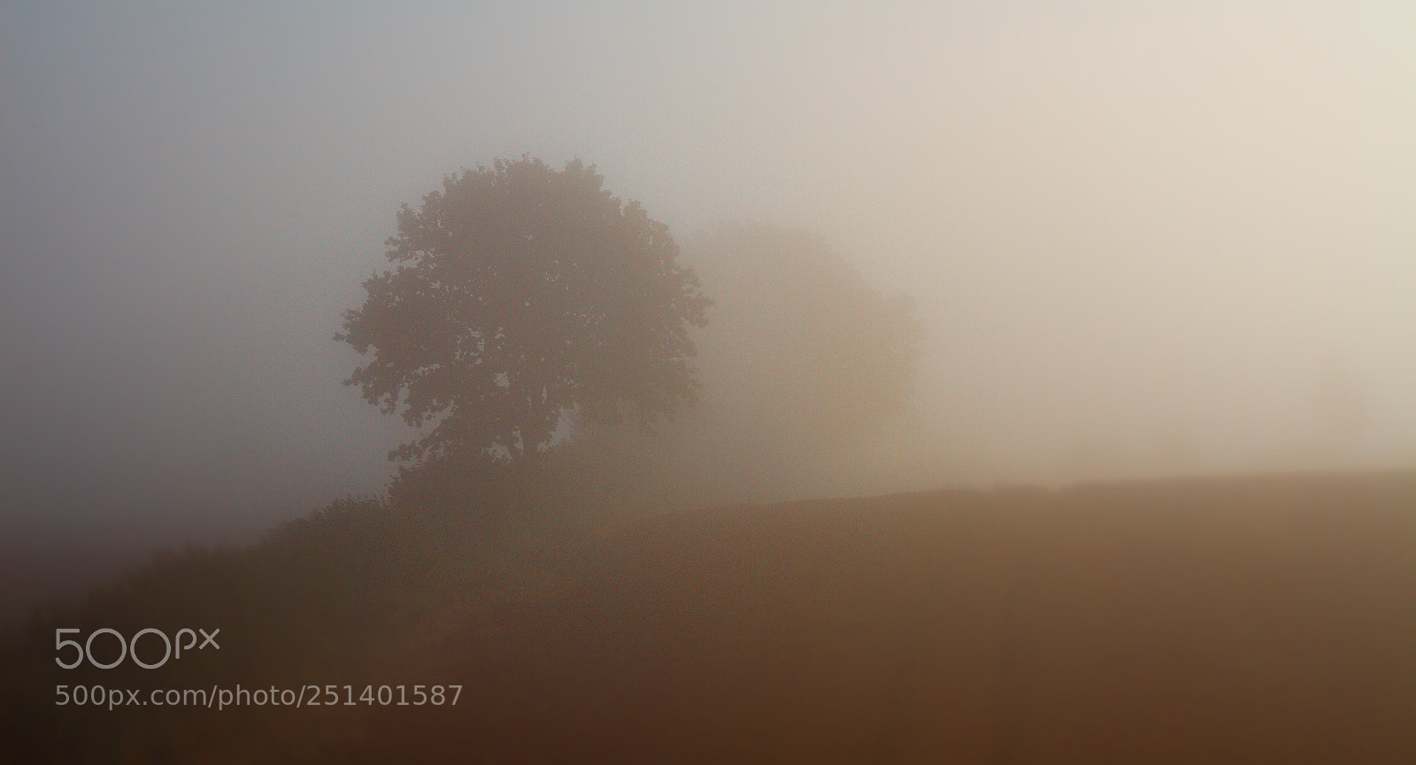 Canon EOS 7D sample photo. Foggy morning photography