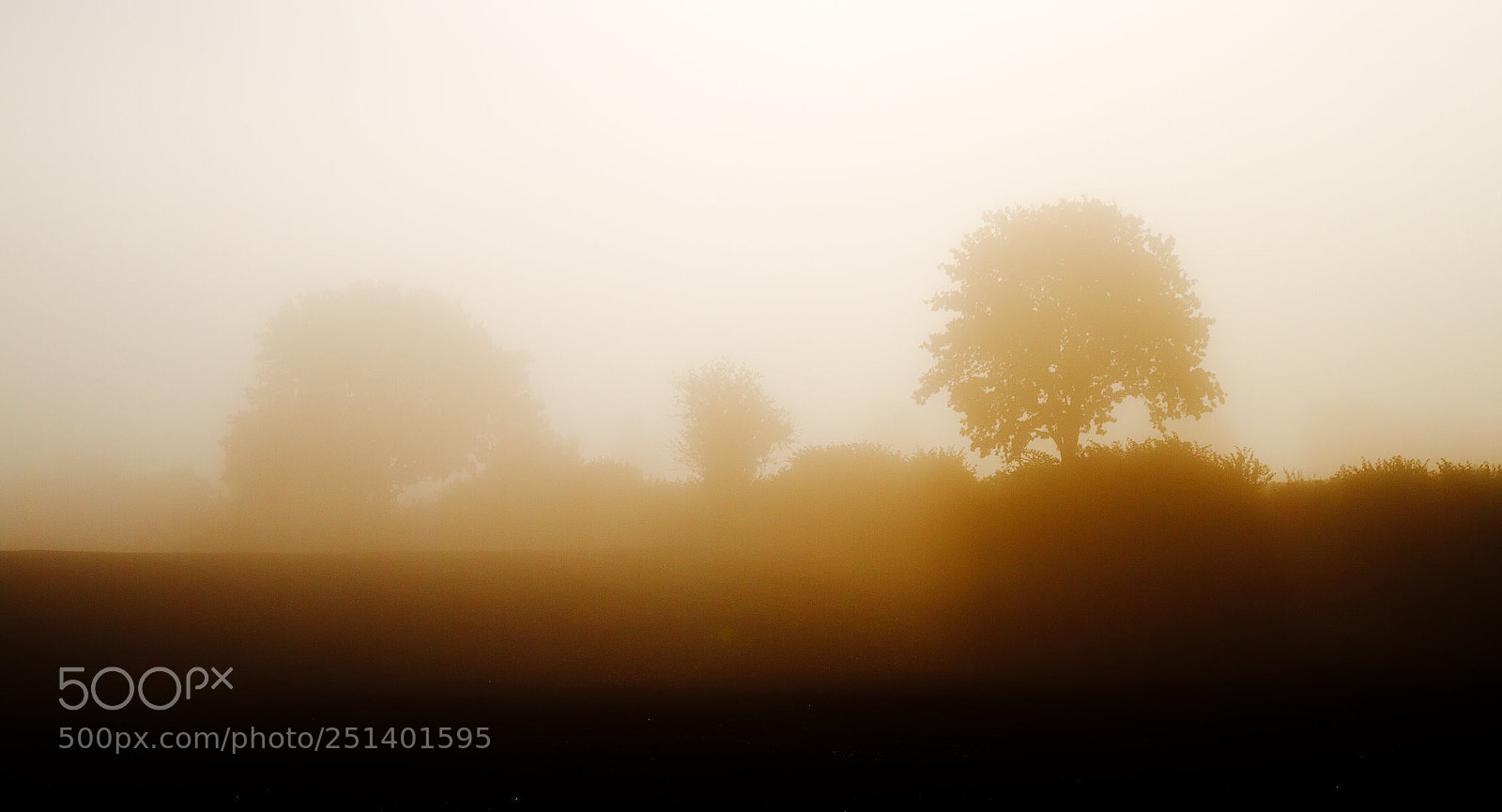 Canon EOS 7D sample photo. Foggy morning photography