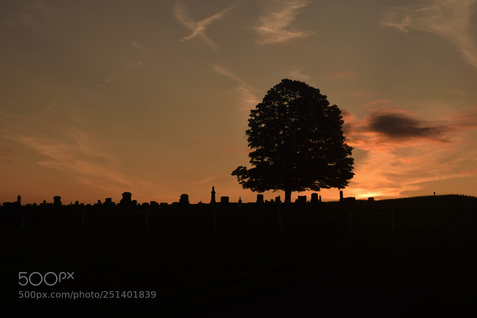 Nikon D3300 sample photo. Cemetary photography