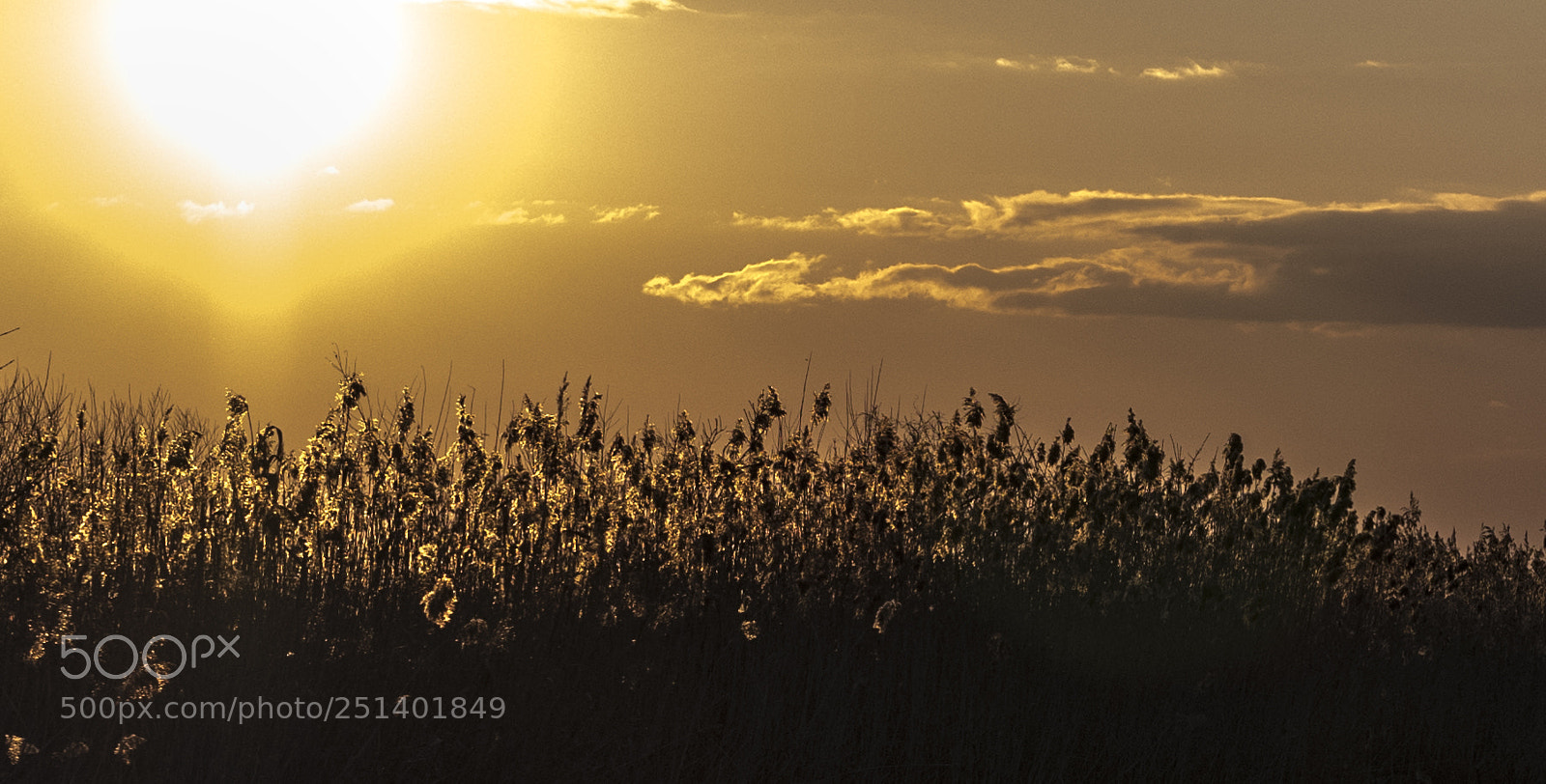 Nikon D850 sample photo. Sunset photography