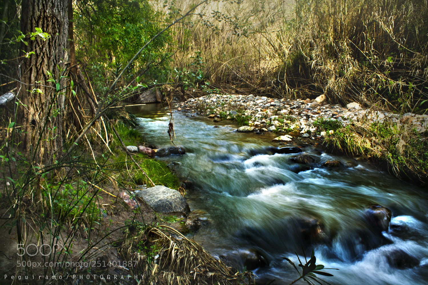 Canon EOS 1000D (EOS Digital Rebel XS / EOS Kiss F) sample photo. Little river photography