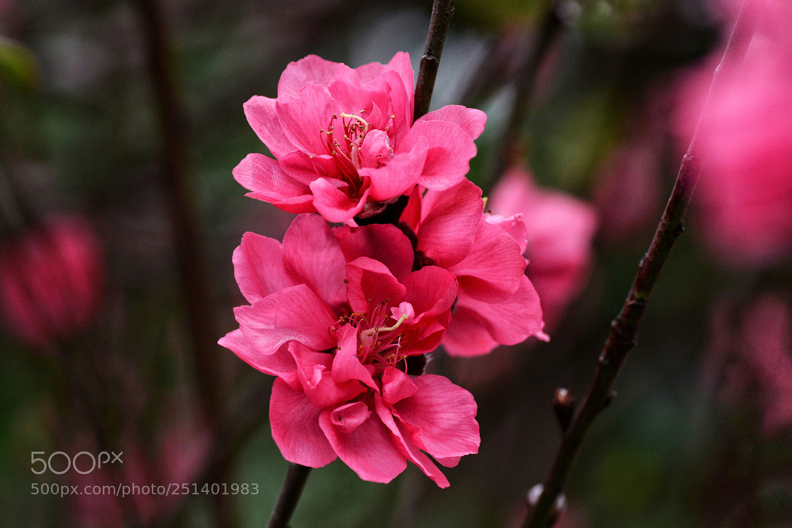 Nikon D7100 sample photo. Untitled photography