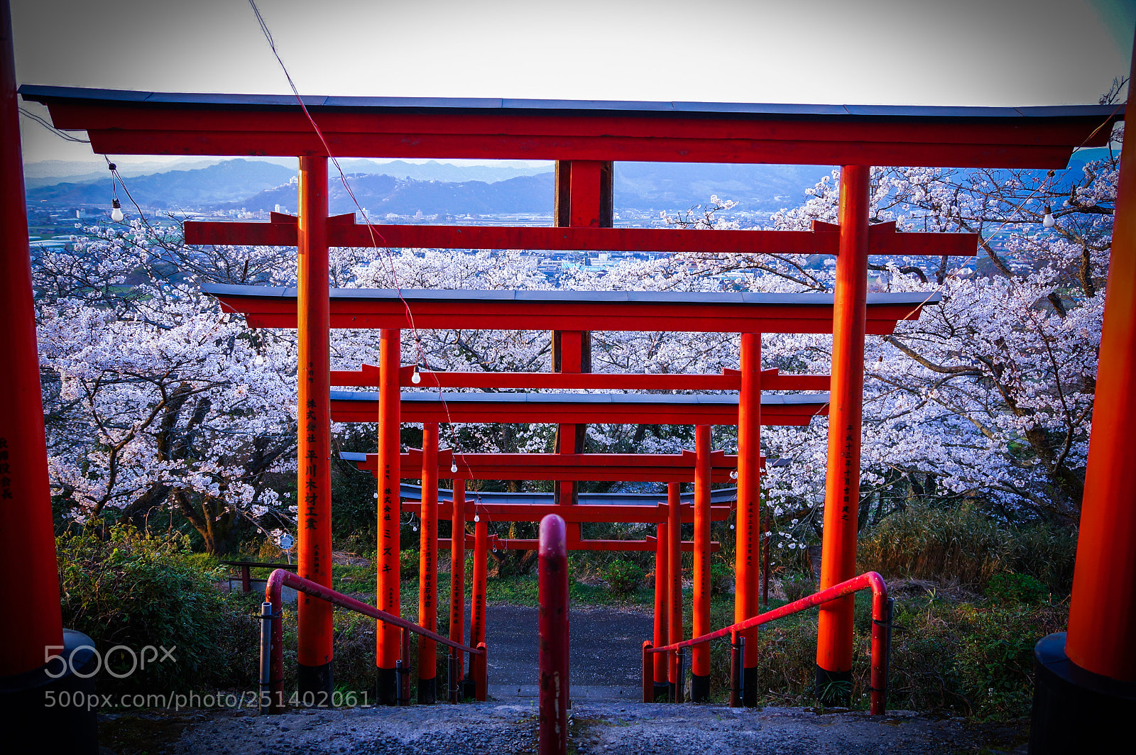Sony SLT-A77 sample photo. Japan photography