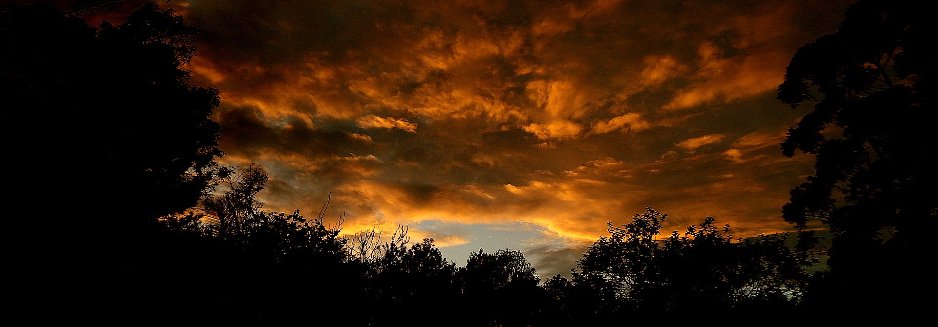 Fujifilm FinePix SL1000 sample photo. Magic morning .... photography