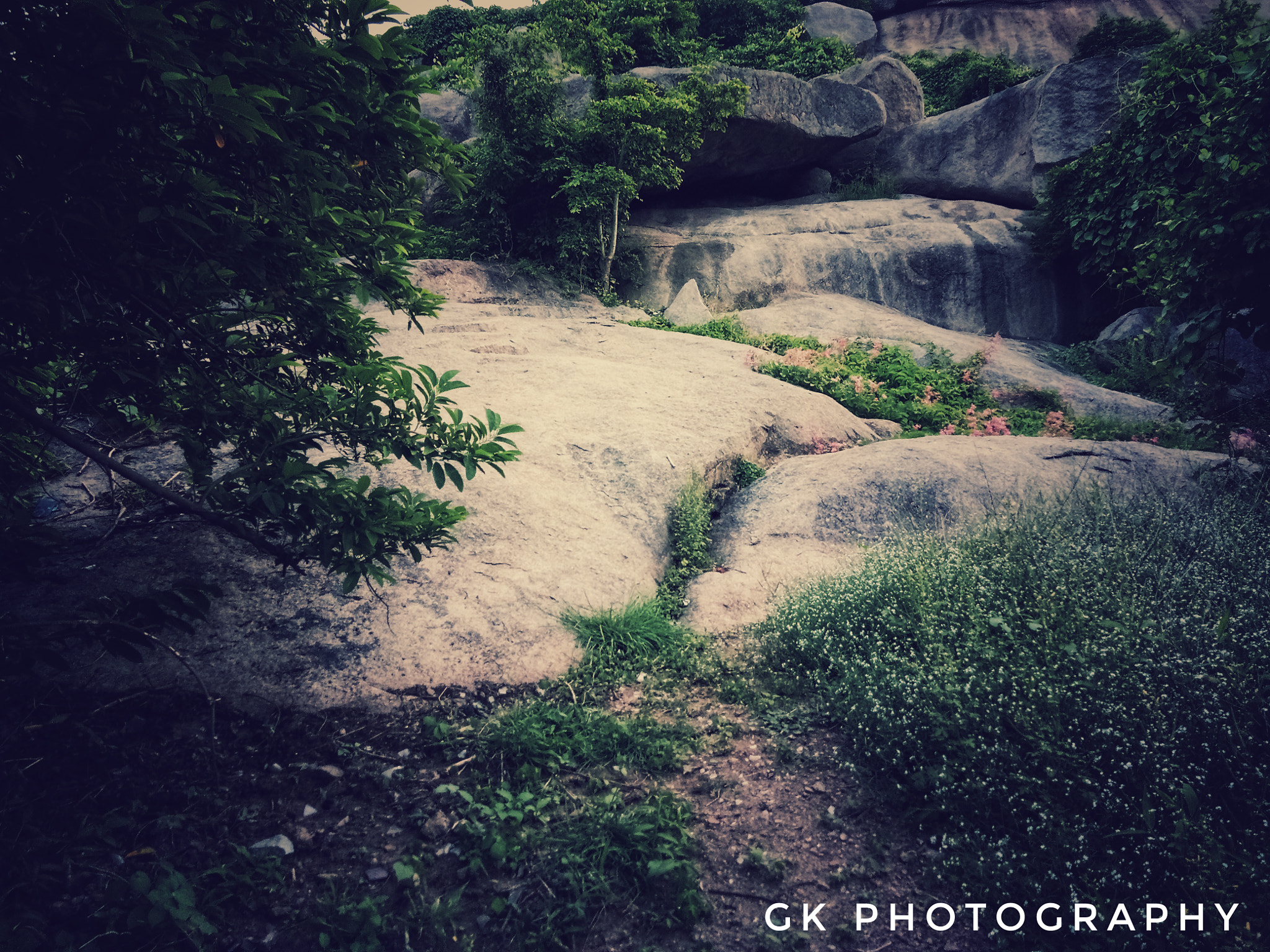 vivo 1601 sample photo